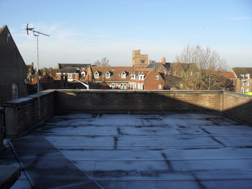 Today's from the rooftops