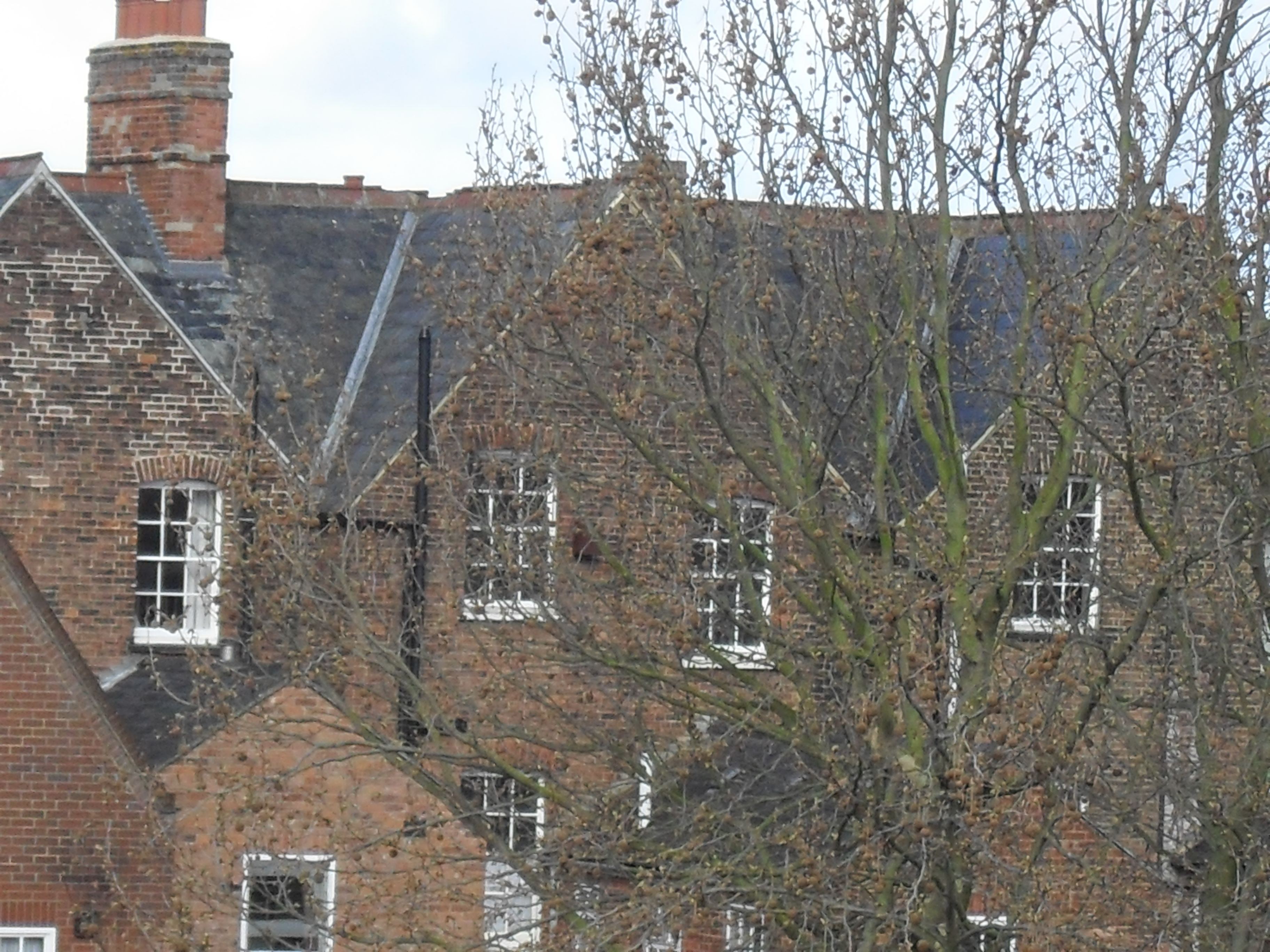 View from the Rooftop, 07/04