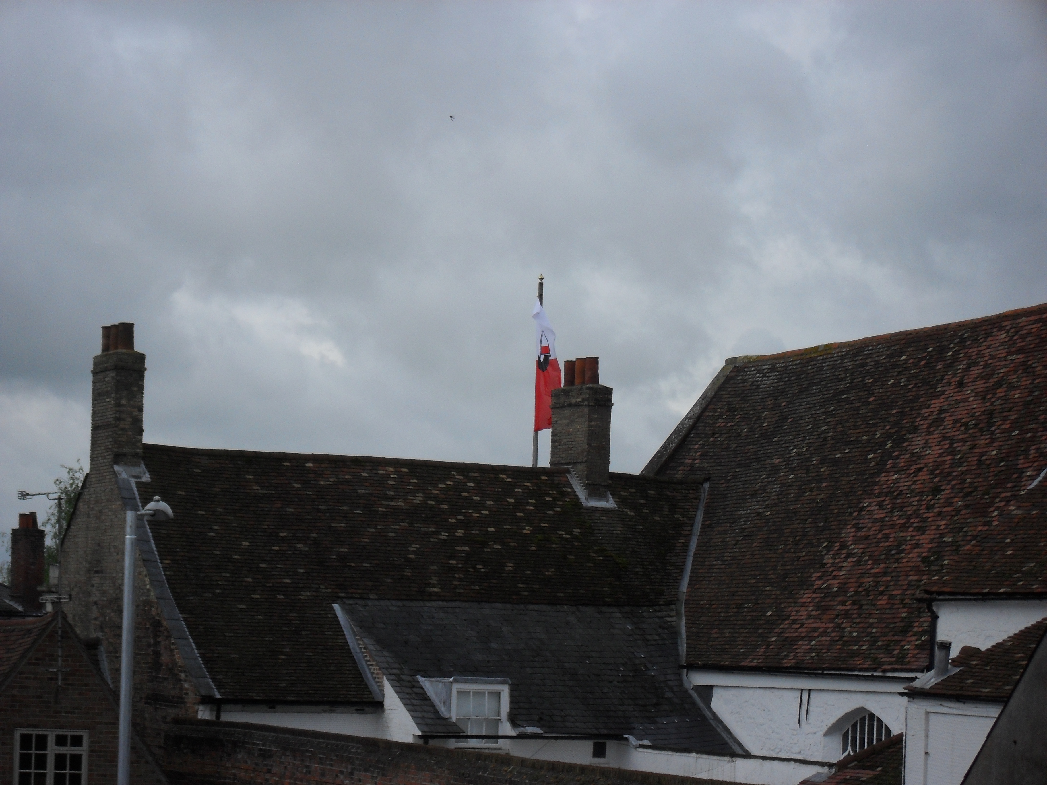 Rear view of guildhall