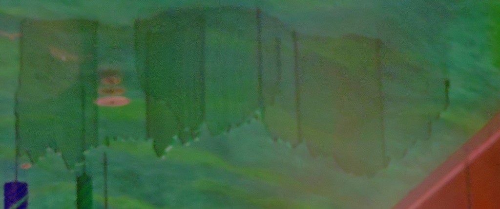 dscn4480