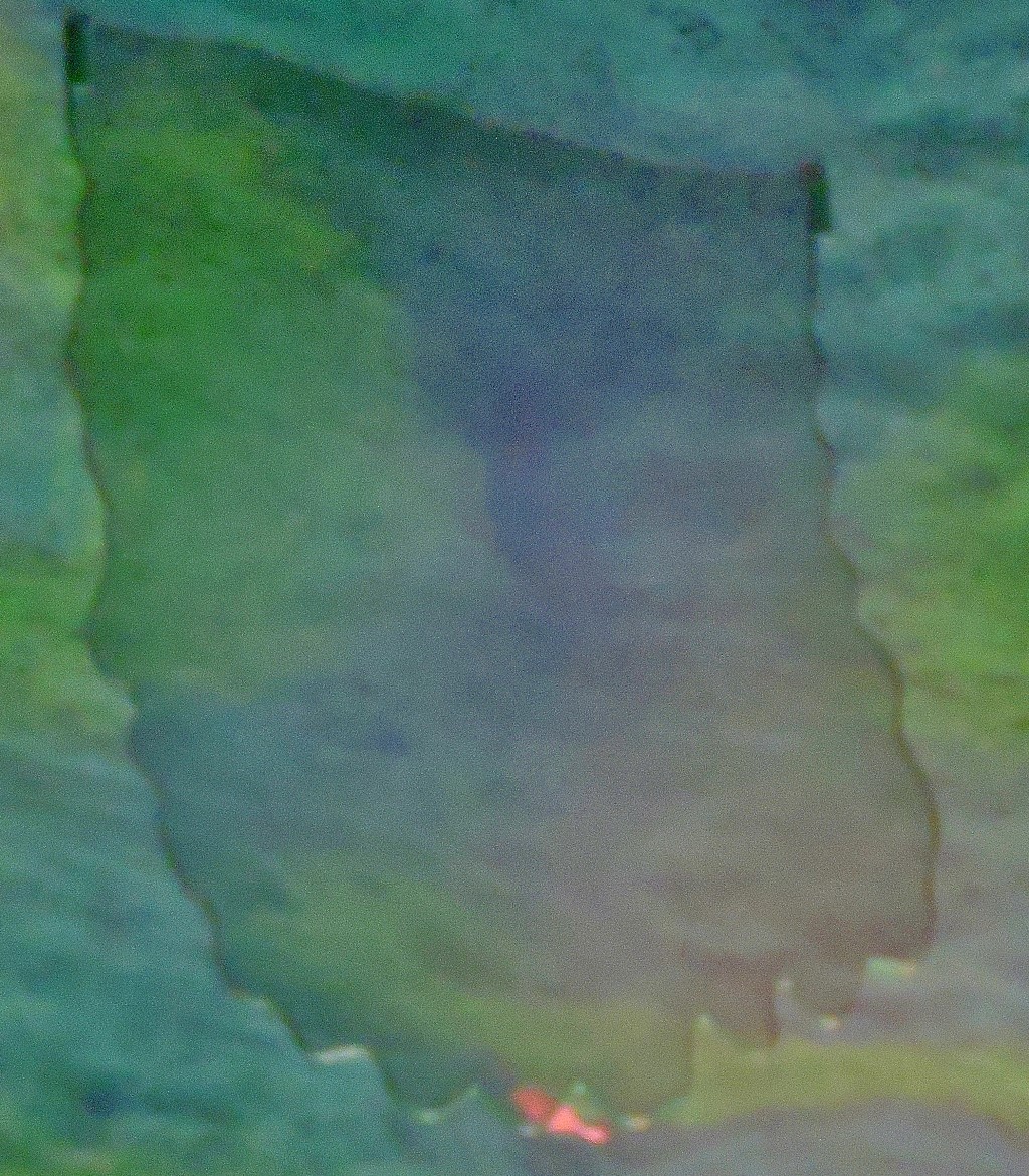 dscn4482