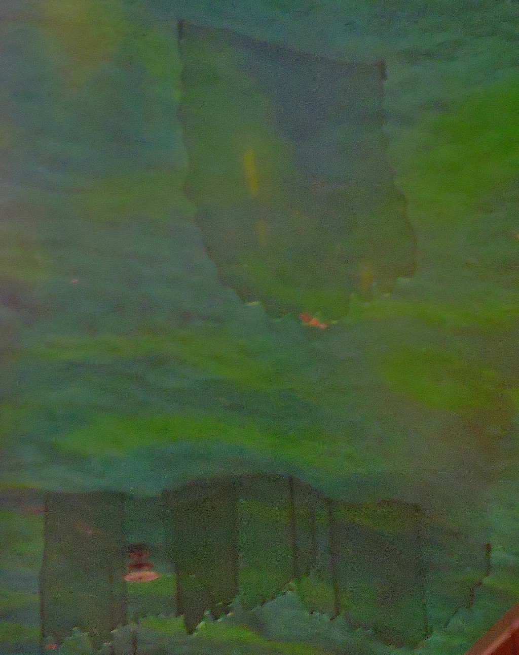 dscn4483