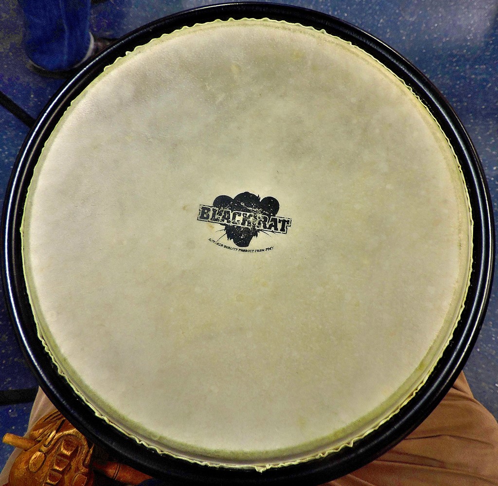 dscn5497