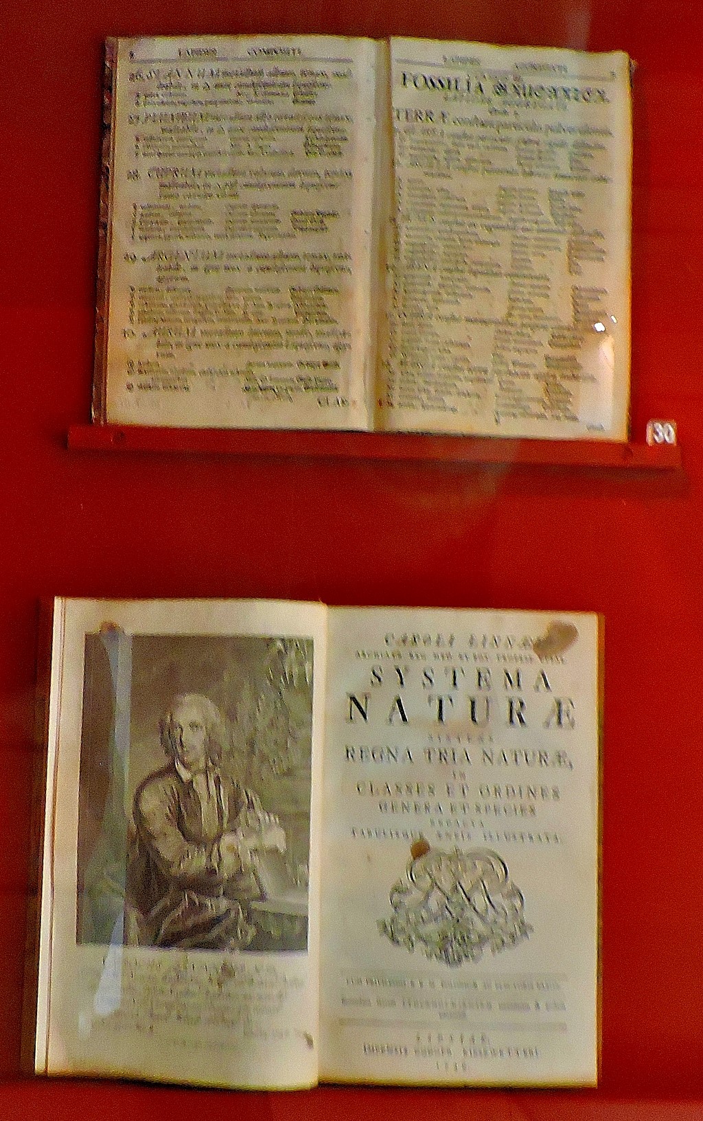 Uppsala: The Linnaeus&nbsp;Museum