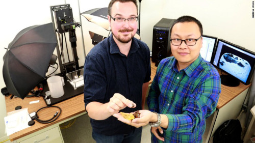 161208123535-dinosaur-amber-5-exlarge-169