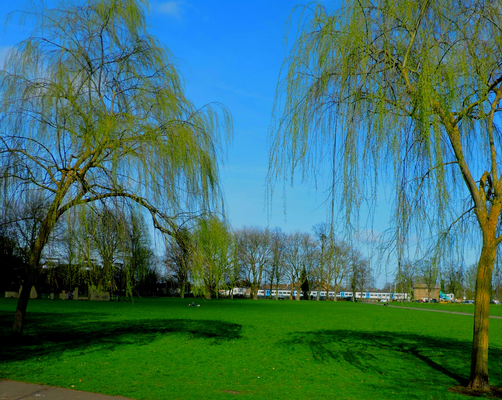 More on Public&nbsp;Transport