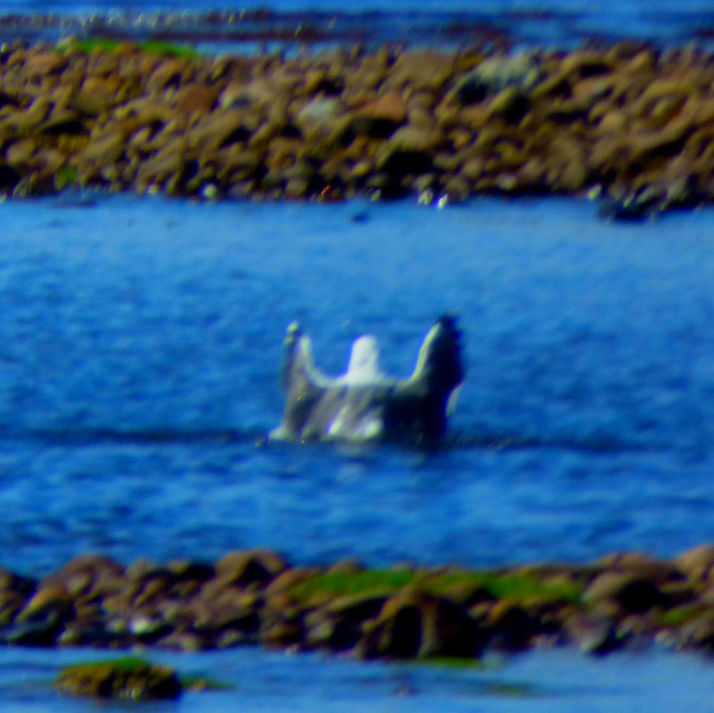 Scotland – Applecross