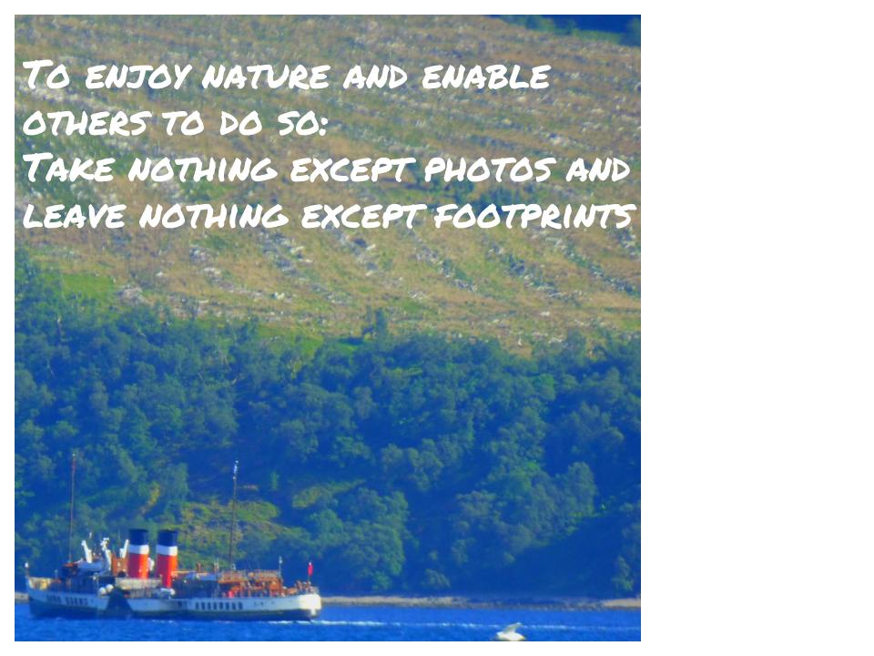 Enjoy Nature Infographic