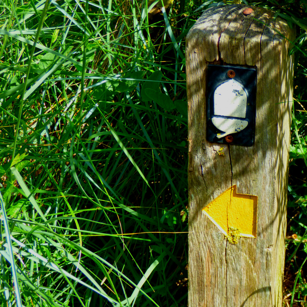 Footpath marker