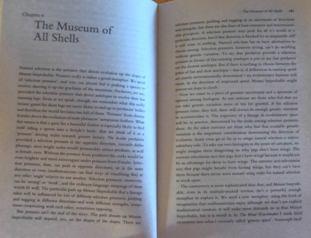 Museum of All Shells text
