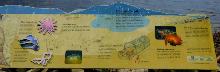 Reraig info board - scenic depths