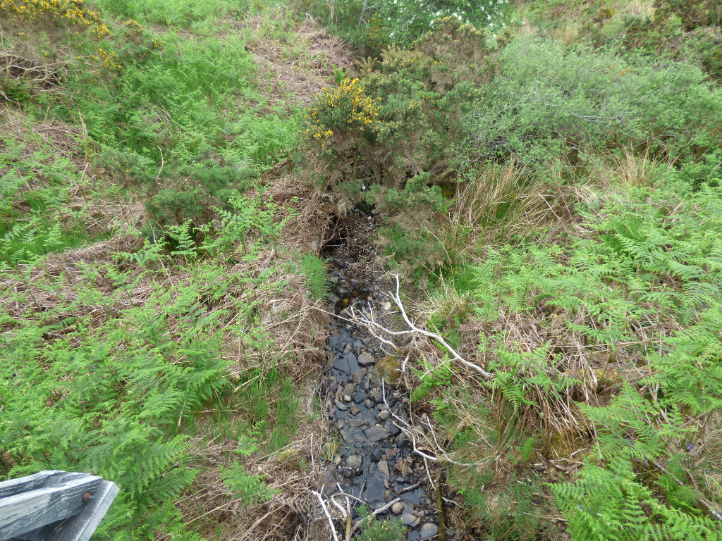 Stream
