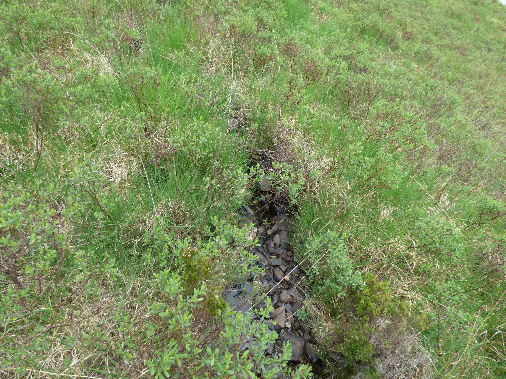 Stream4