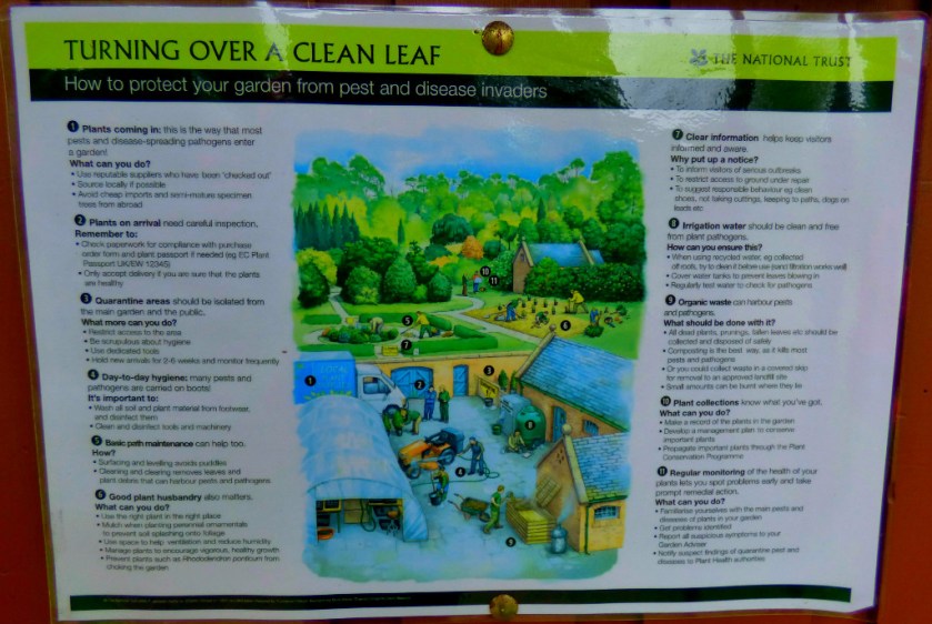 Turning over a clean leaf