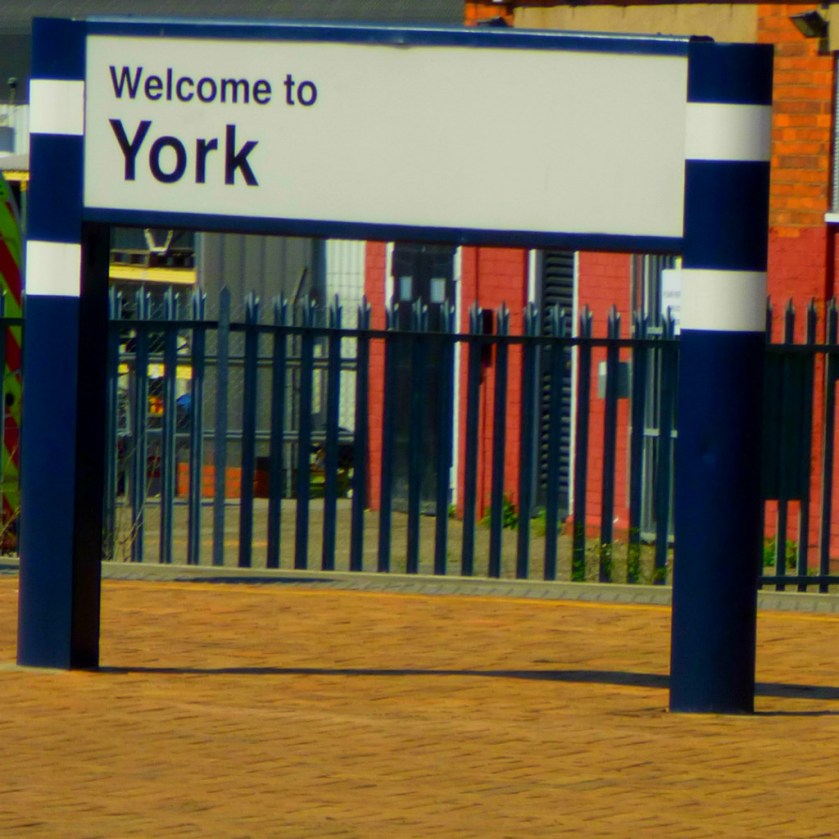 York5