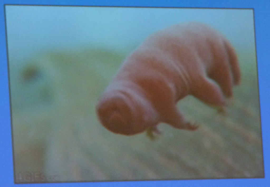 Marxism 2017: Biodiversity and Species Extinction (Ian Rappel and Sarah&nbsp;Ensor)