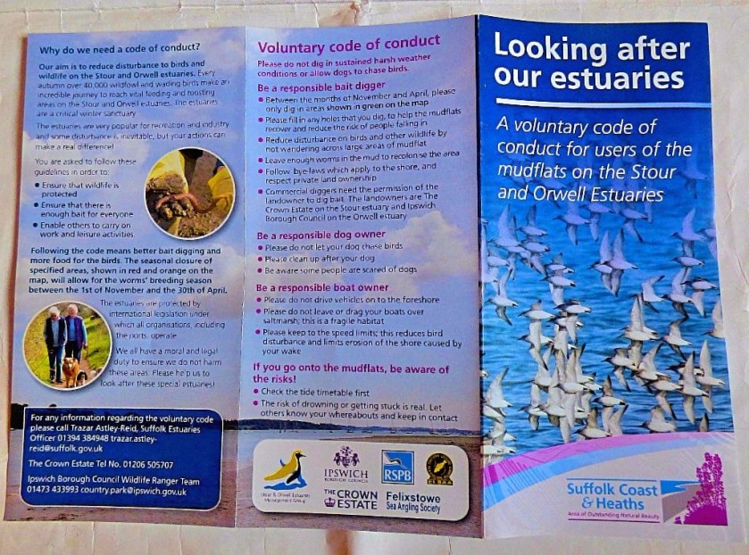 Looking after our estuaries 1