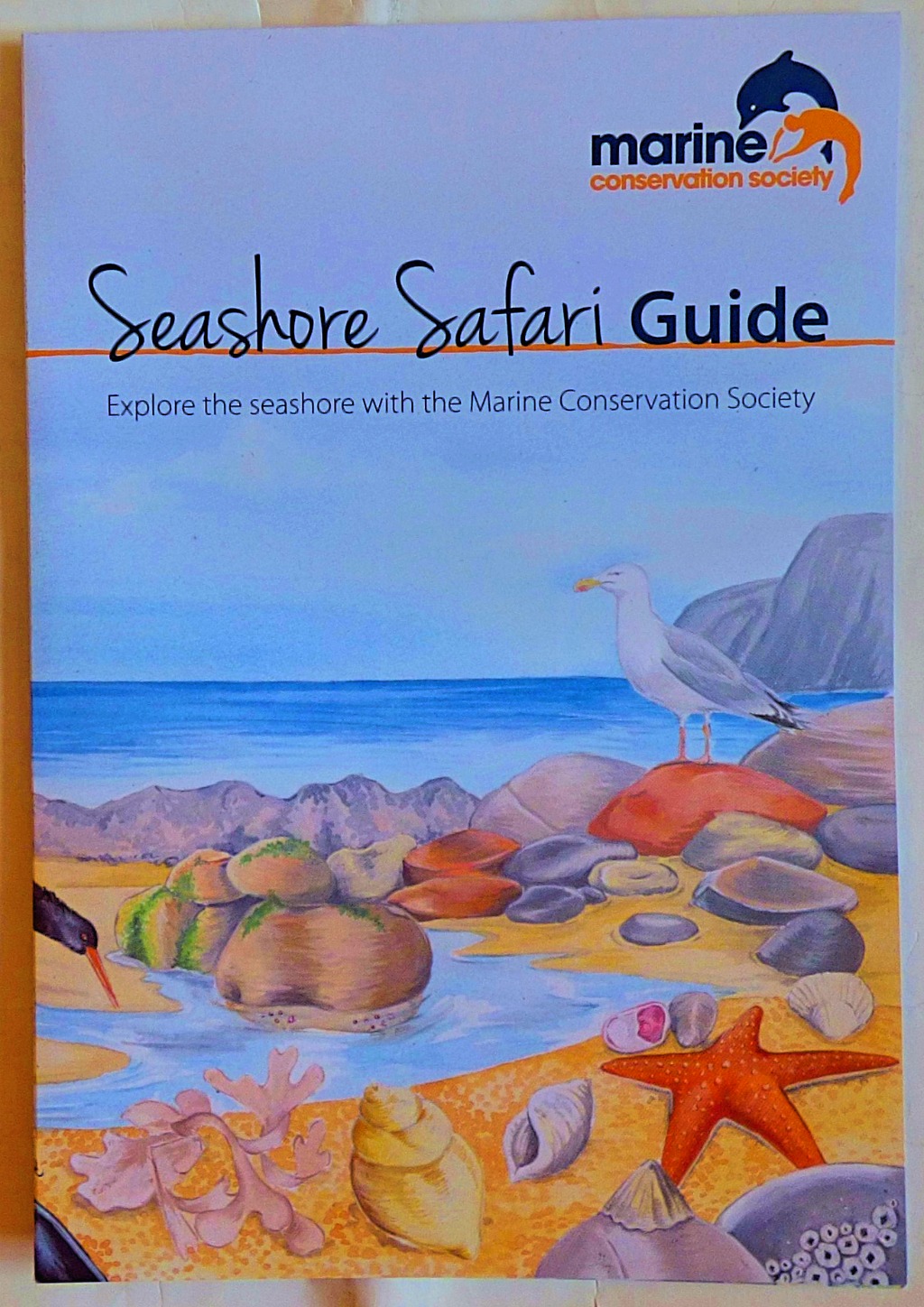 Seashore Safari Guide cover