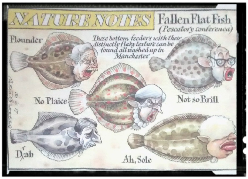 Flatfish