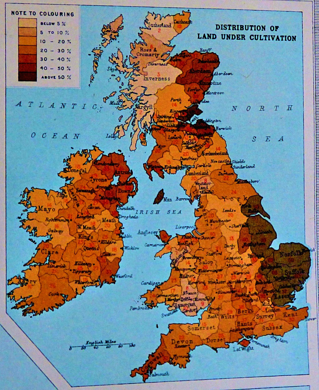 Land under cultivation