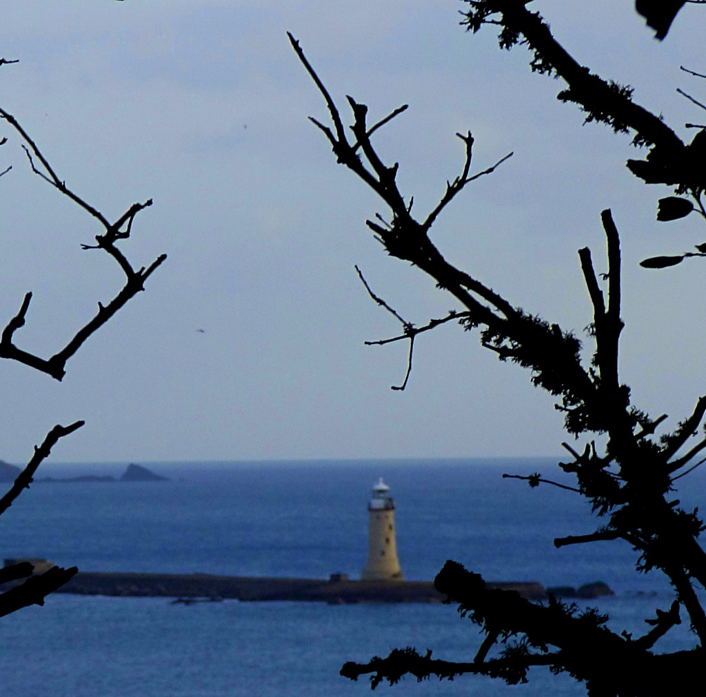 Lighthouse and branches