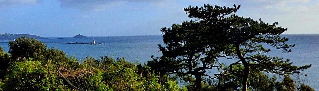 tree framed distant lighthouse