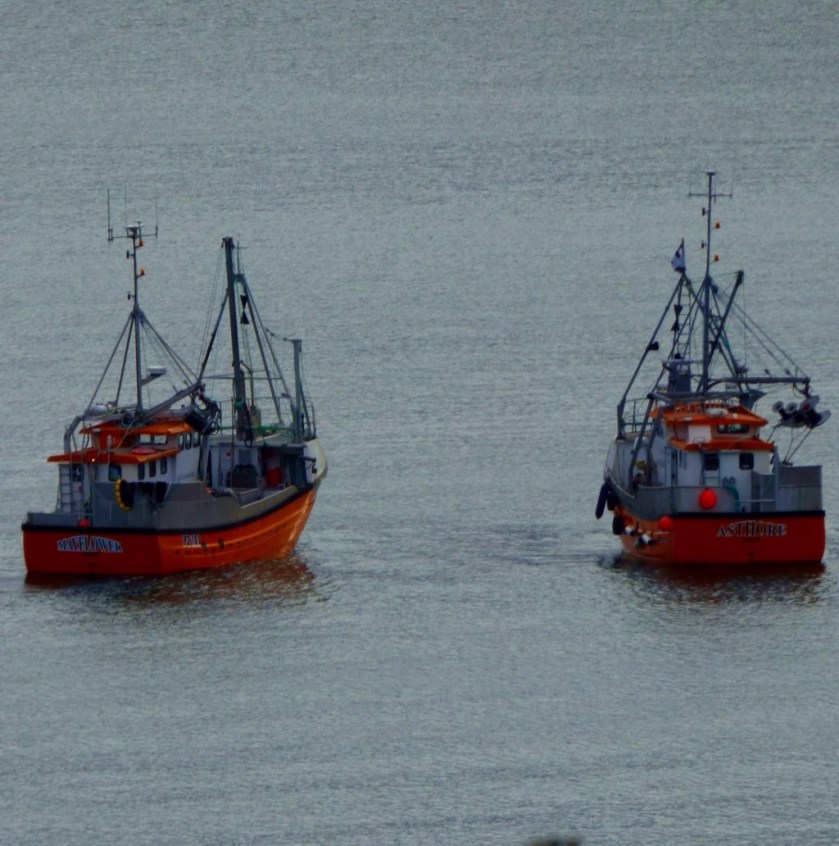 two orange ships