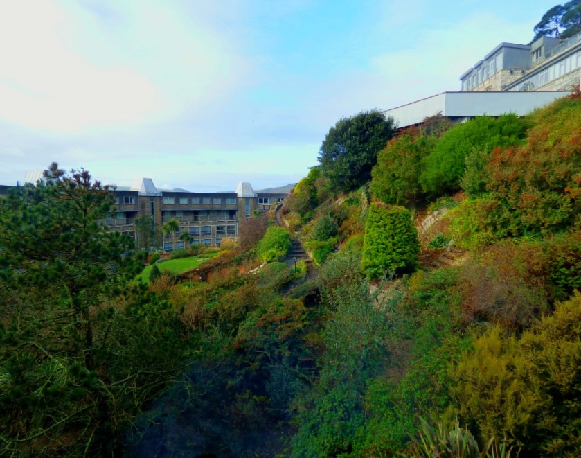 View from bedroom window