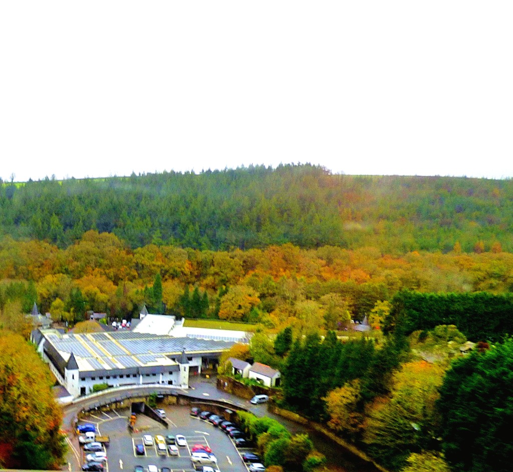 Woodland with visitor centre