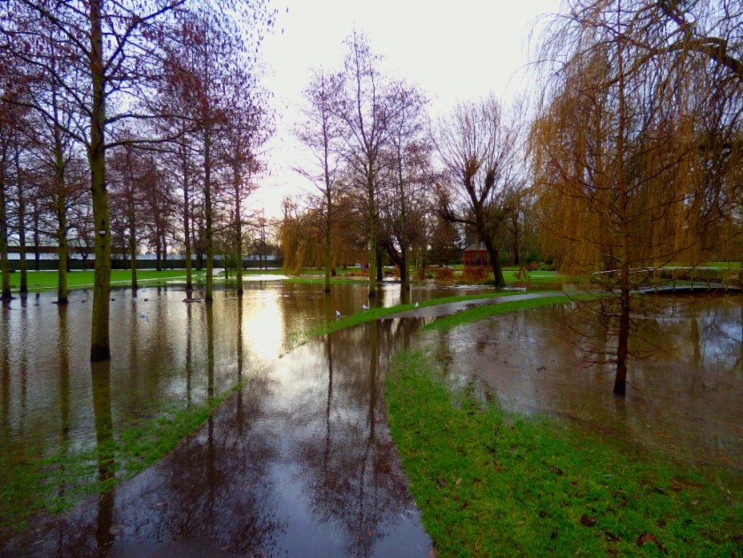 River overlaps with standing water