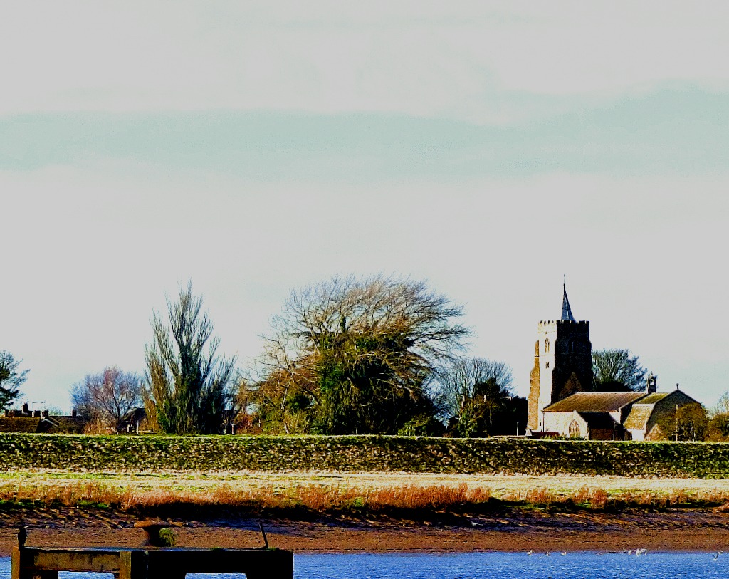 Cormorant and church