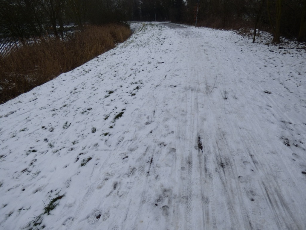Sandringham Railway Path