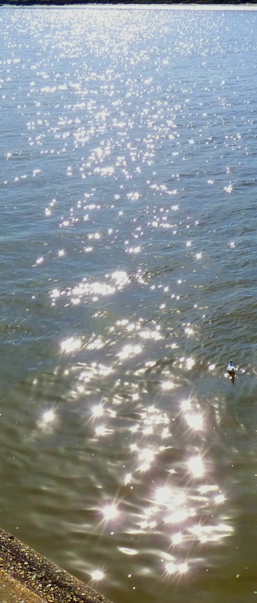 Sun on the Great Ouse II