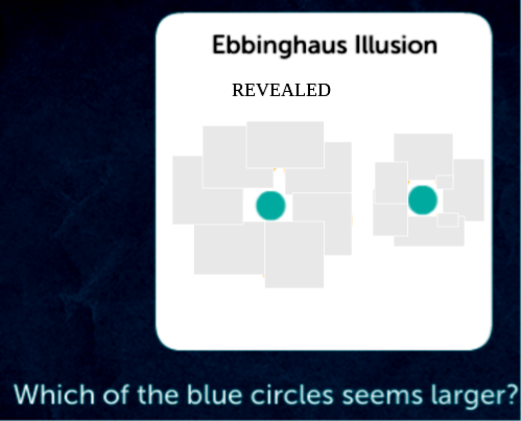 Ebbinghaus Disillusion