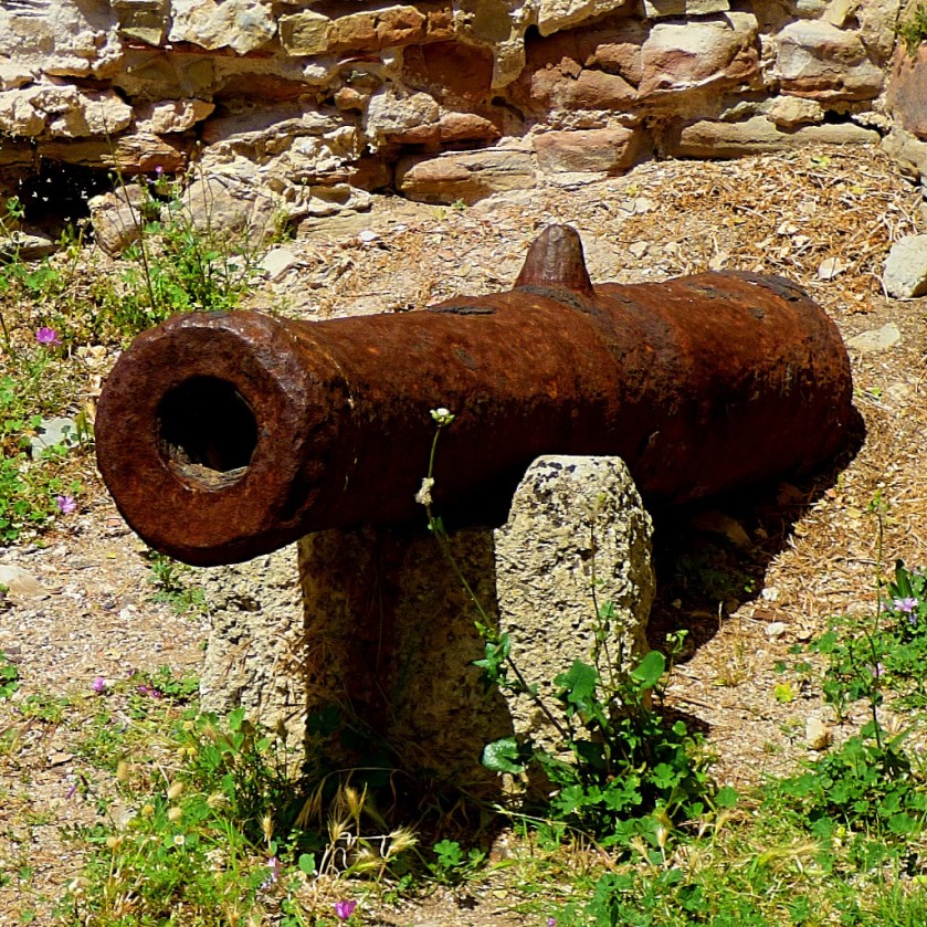 Cannon