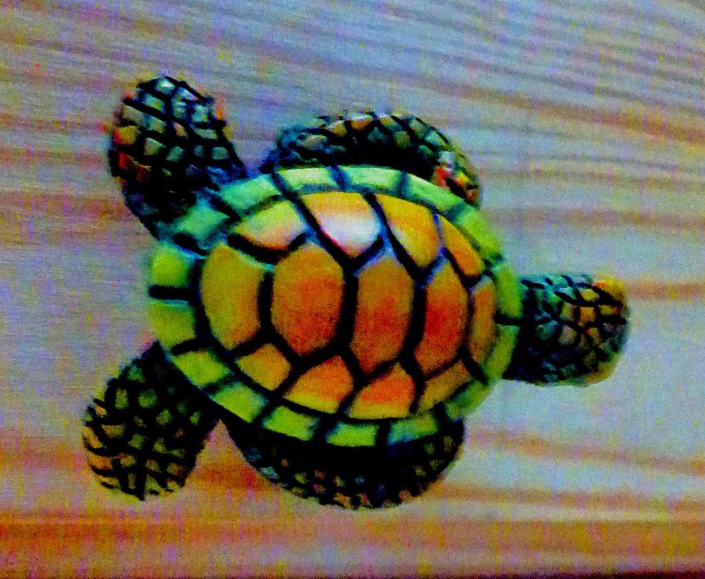 Model Tortoise