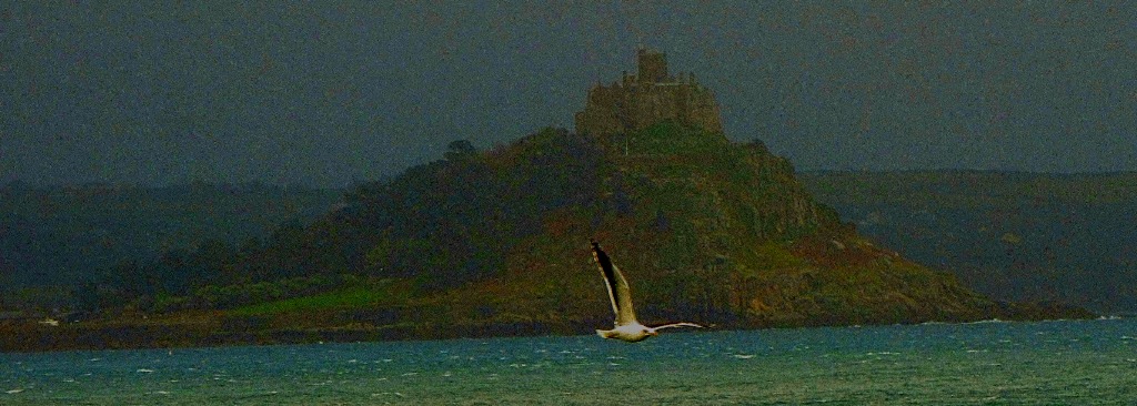 St Michael's Mount and Flying Gull