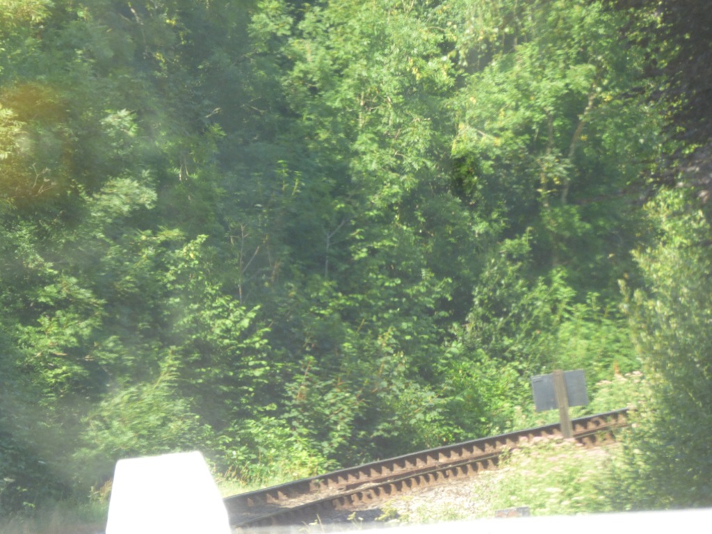 Above the line to Looe