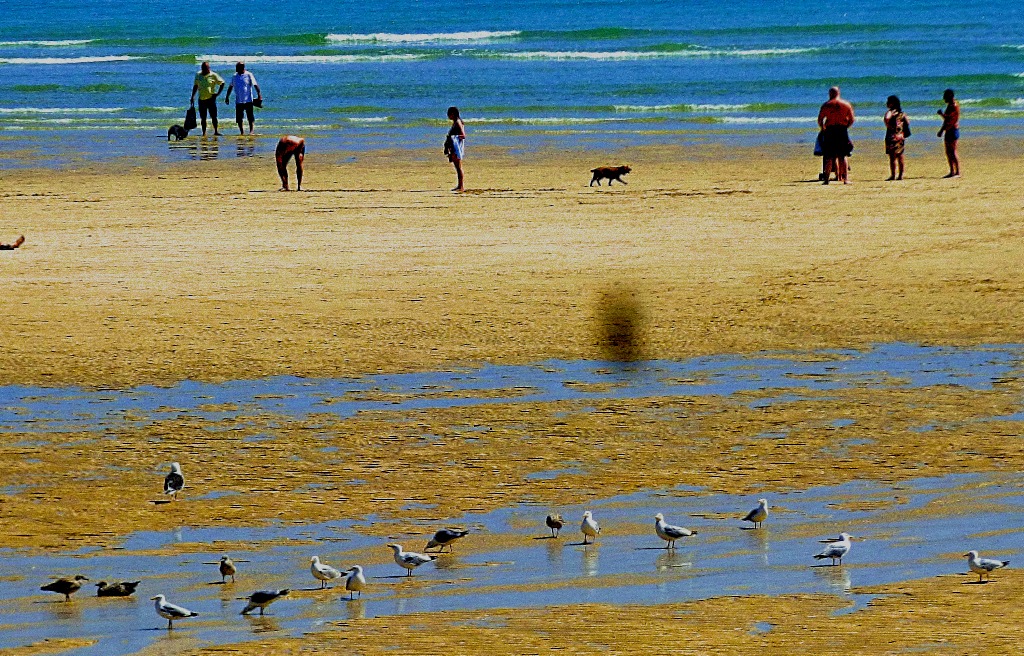 Beach scene, St Ives