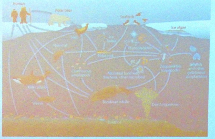 Biodiversity pic III