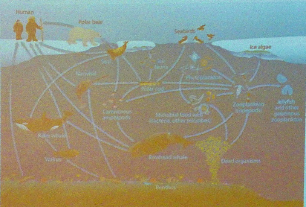 Biodiversity picture