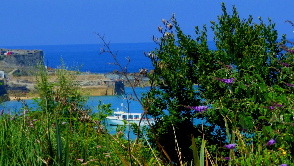 Boat through the trees