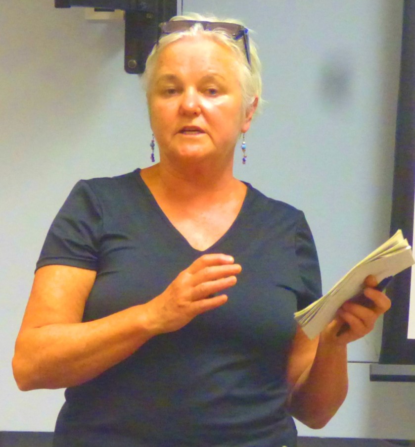 Brid Smith TD contirbutes to the discussion