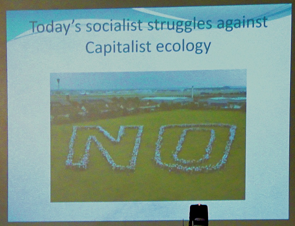 Capitalist ecology