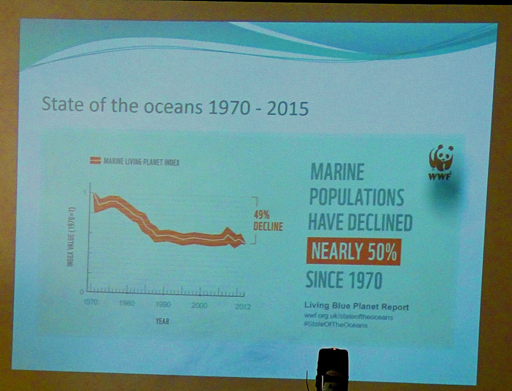 Decline in Marine populations II