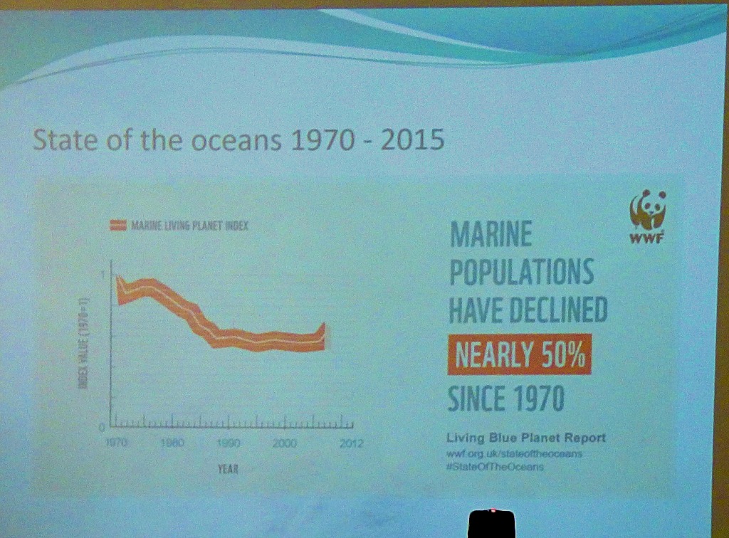 Decline in Marine populations
