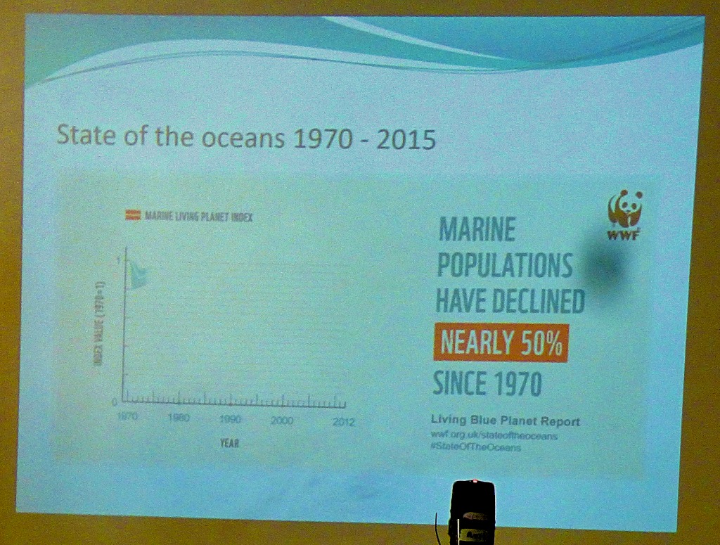 Decline in marine populations