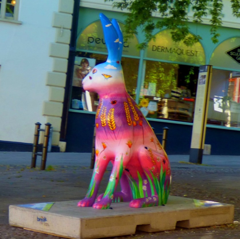 Hare, near Norwich Castle