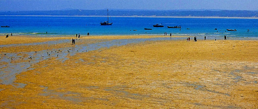 Looking across the bay