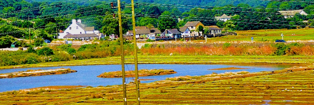 Marshland